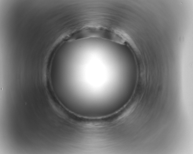 X0000088700530200706211946