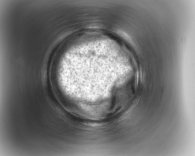 X0000088700531200706211946