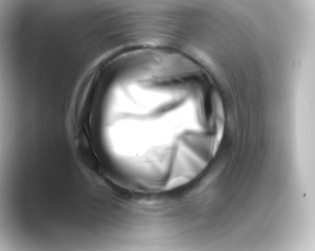 X0000088700532200706211946