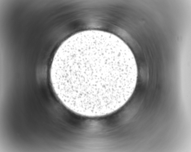 X0000088700534200706211946