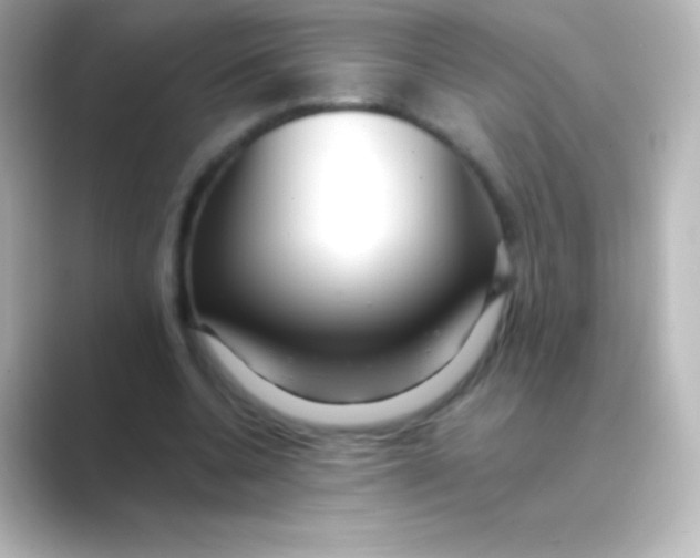 X0000088700536200706211946