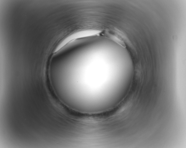 X0000088700538200706211946