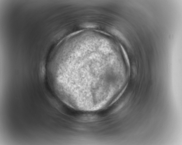 X0000088700541200706211946