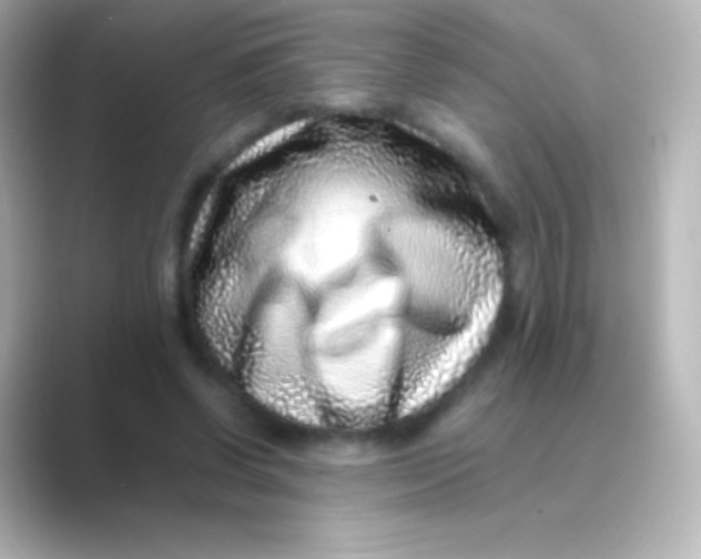 X0000088700542200706211946