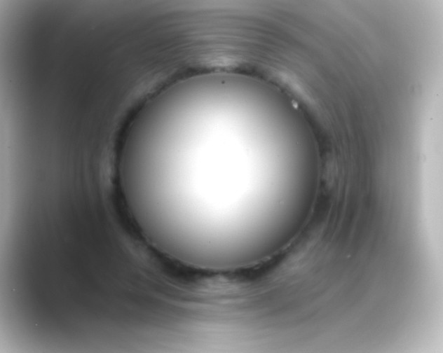 X0000088700544200706211946