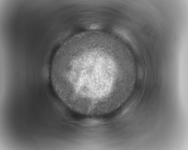 X0000088700545200706211946