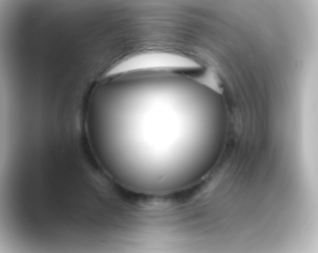 X0000088700546200706211946