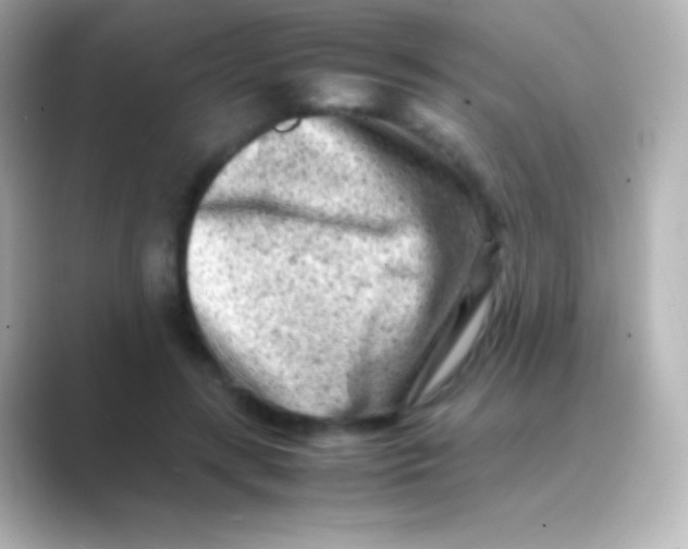 X0000088700547200706211946