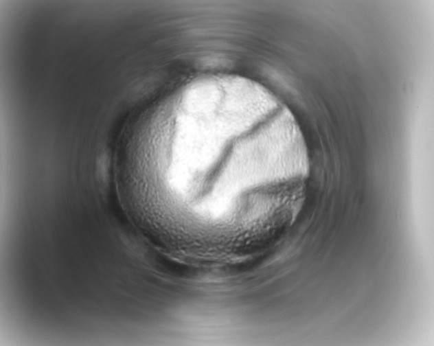 X0000088700550200706211946