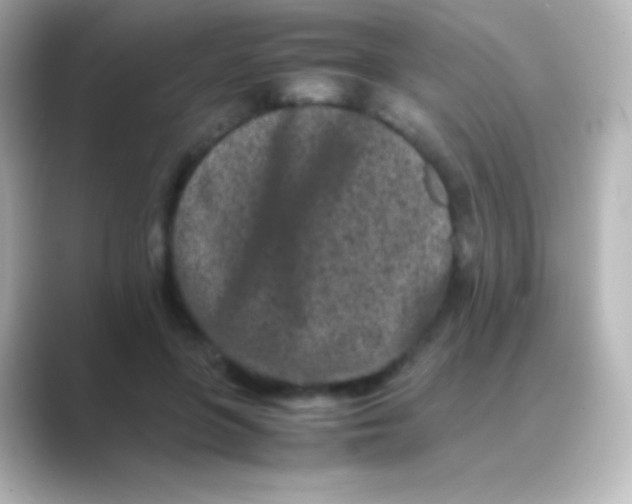 X0000088700551200706211946