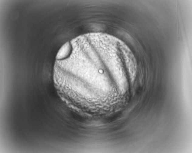 X0000088700553200706211946