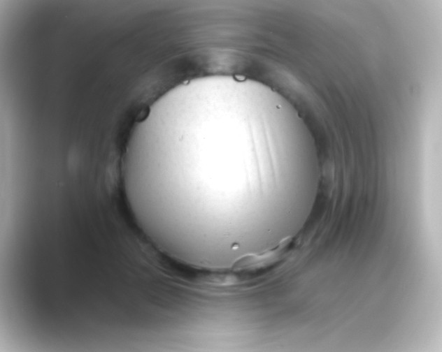 X0000088700554200706211946