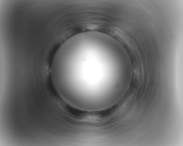 X0000088700555200706211946