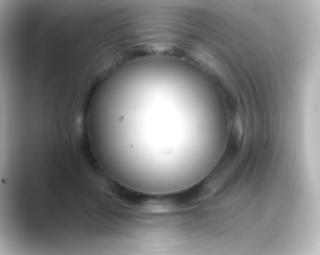 X0000088700556200706211946