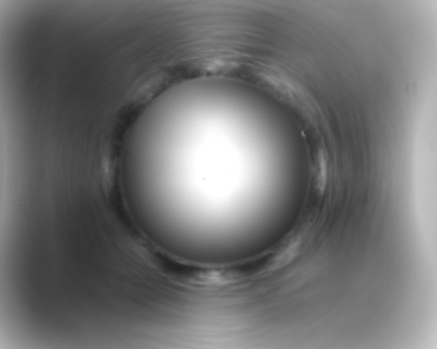 X0000088700558200706211946