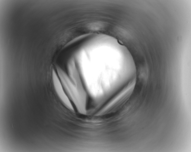 X0000088700559200706211946