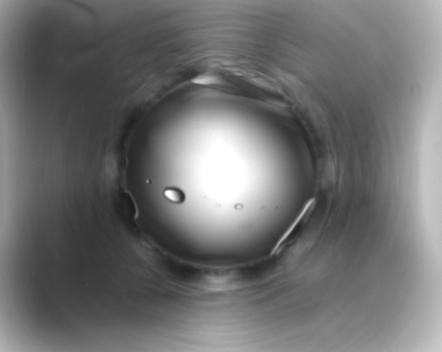 X0000088700560200706211946