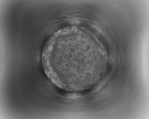 X0000088700561200706211946