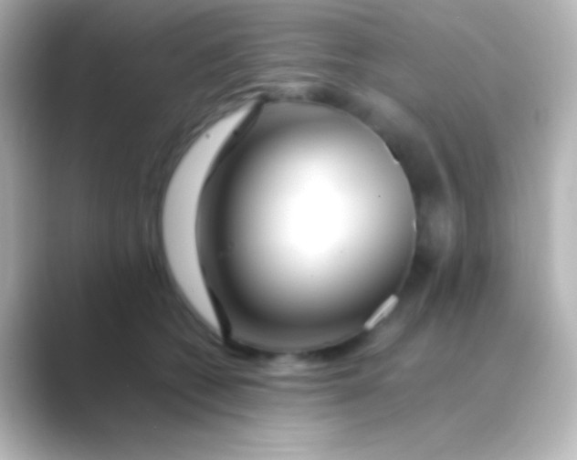 X0000088700562200706211946