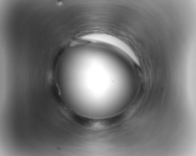 X0000088700564200706211946