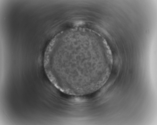 X0000088700565200706211946