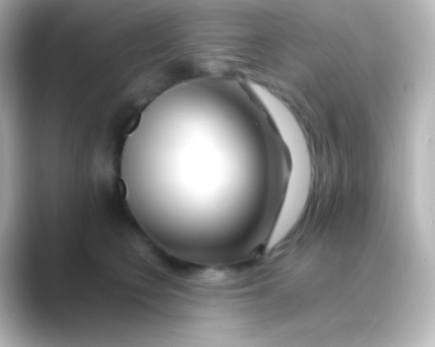 X0000088700566200706211946