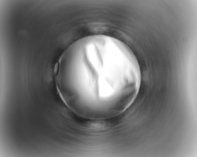 X0000088700567200706211946