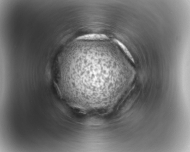 X0000088700568200706211946