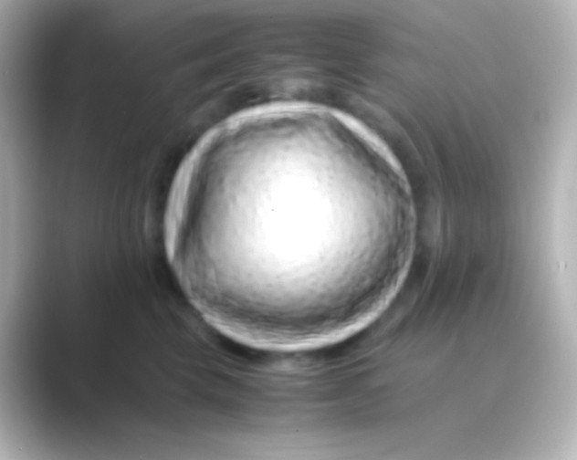 X0000088700569200706211947