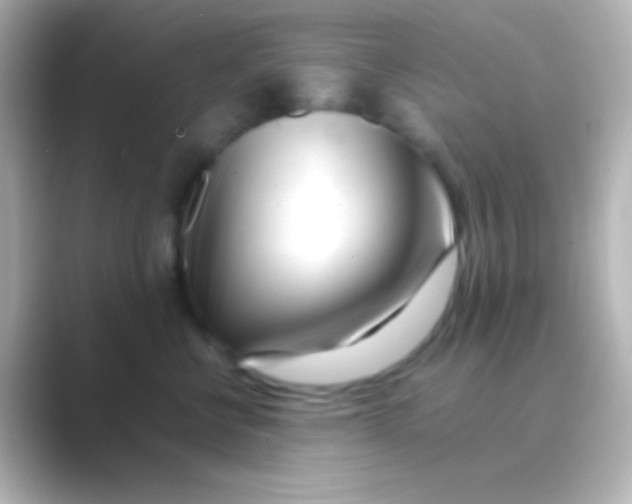 X0000088700570200706211947