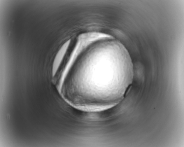 X0000088700573200706211947