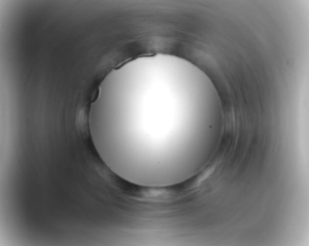 X0000088700575200706211947