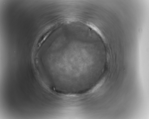 X0000088700581200706211946