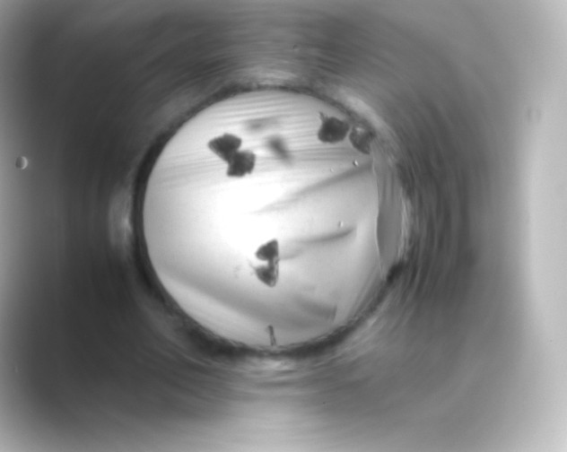 X0000088700582200706211946