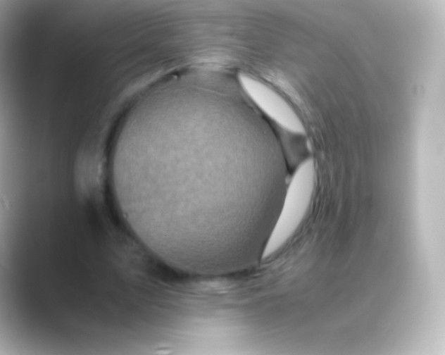 X0000088700583200706211946