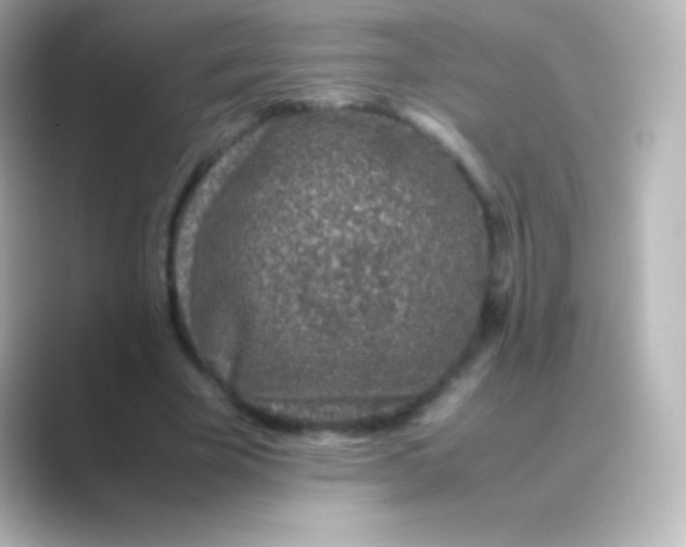 X0000088700585200706211946