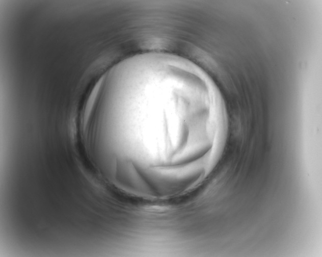 X0000088700586200706211946