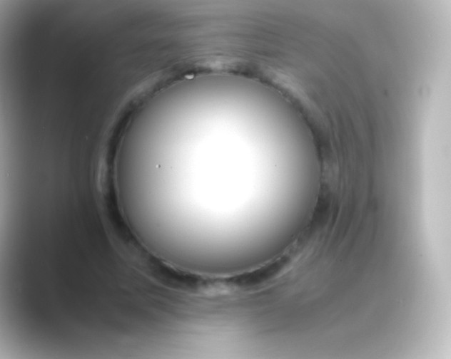 X0000088700587200706211946