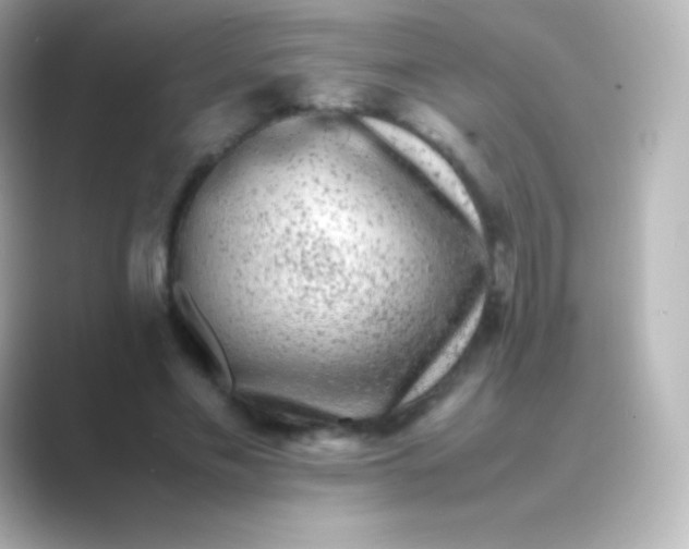 X0000088700589200706211946