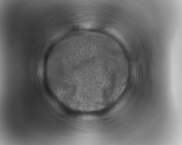 X0000088700590200706211946