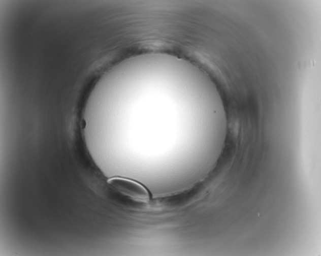 X0000088700591200706211946