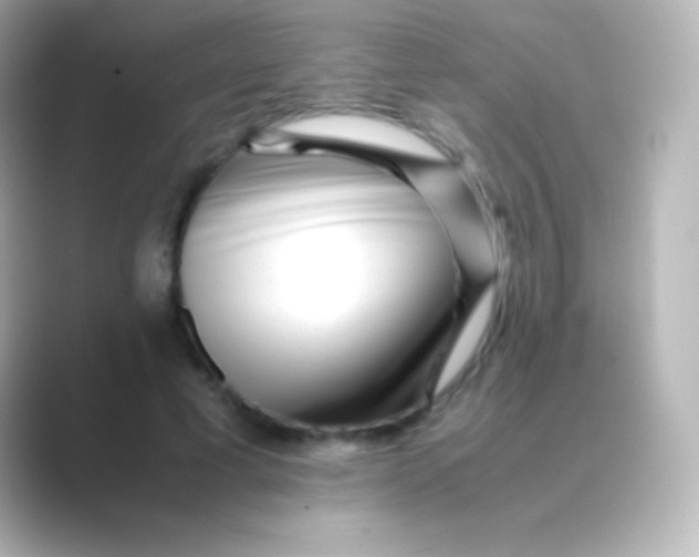 X0000088700593200706211946