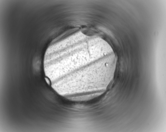 X0000088700596200706211946