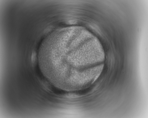 X0000088700598200706211946