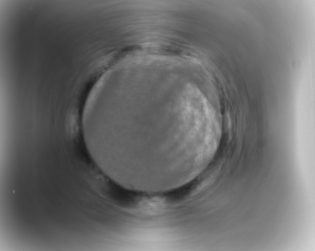 X0000088700599200706211946