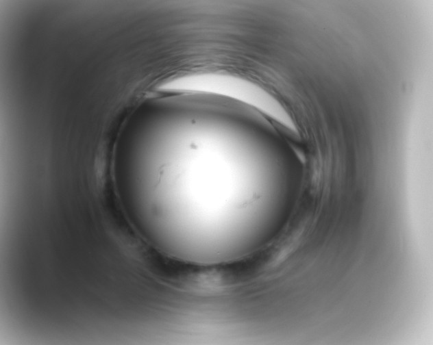 X0000088700600200706211946