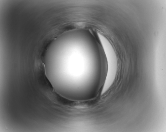 X0000088700601200706211946