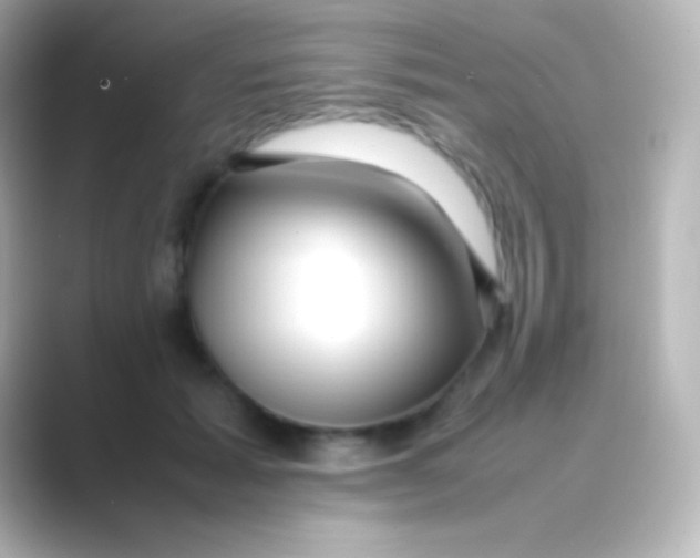 X0000088700605200706211946