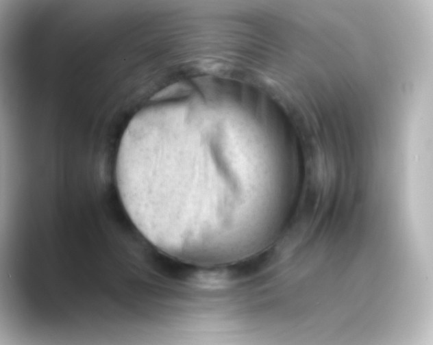 X0000088700606200706211946