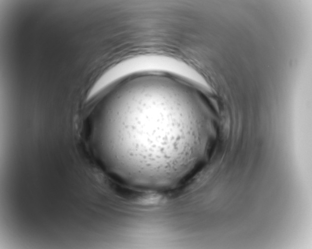 X0000088700609200706211946